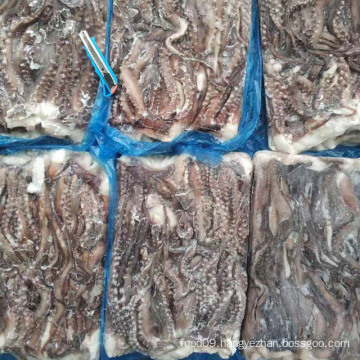 Frozen Giant squid Tentacle five cut competitive chinese supplier